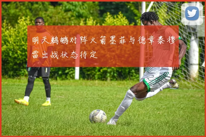 明天鹈鹕对阵火箭墨菲与德章泰穆雷出战状态待定